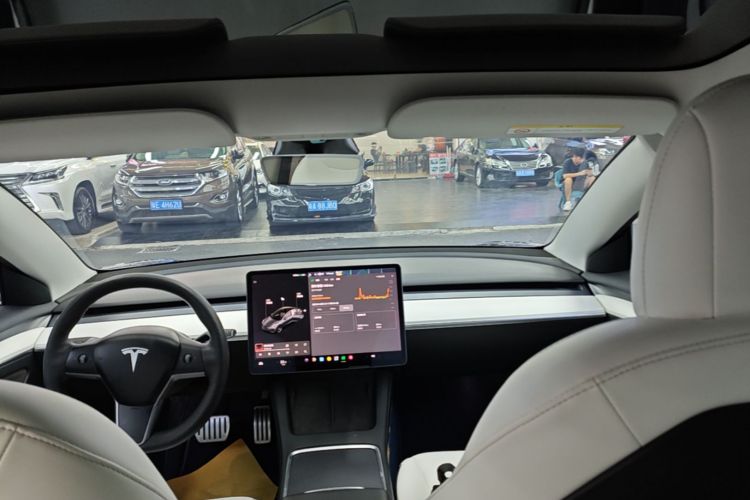 Tesla Model 3 2021 car image #18