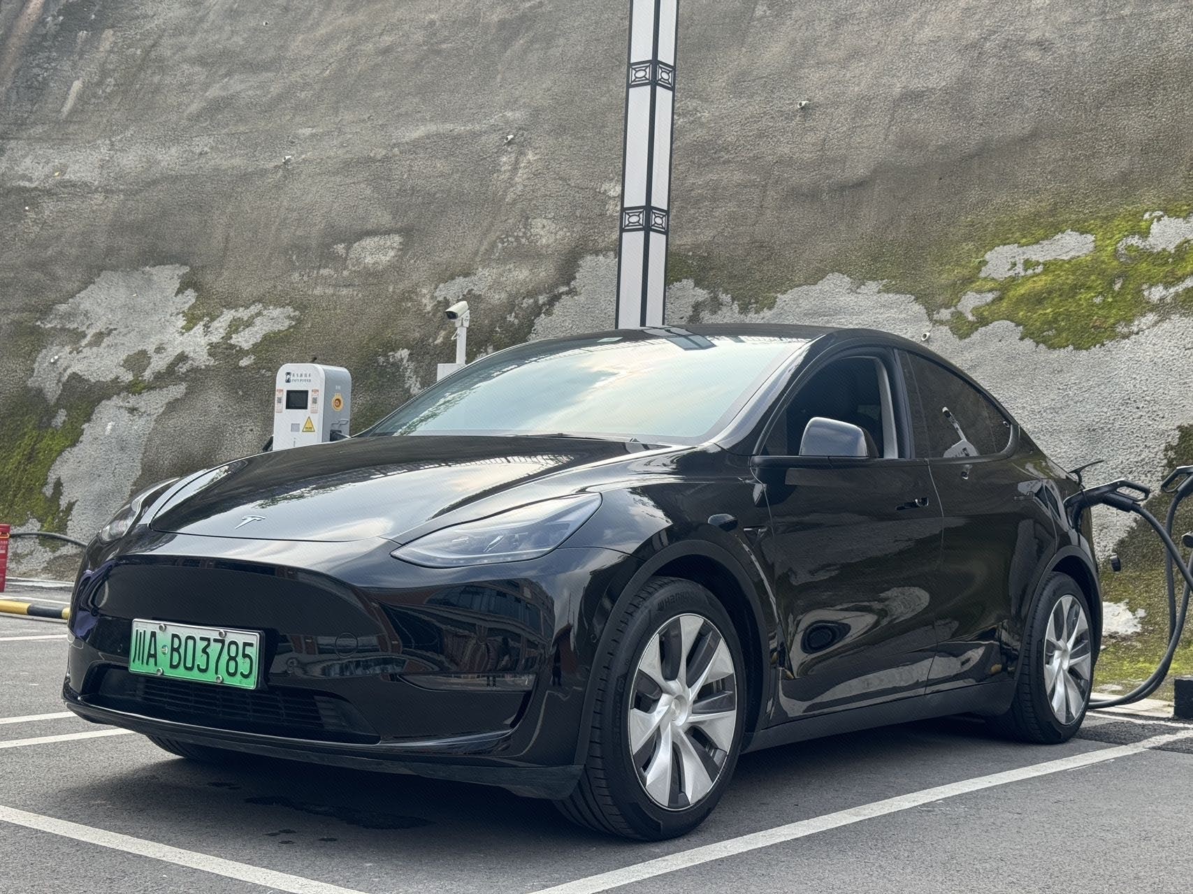 Tesla Model Y 2021 Tesla Model Y 2021 car image