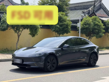 Tesla Model 3 2024 Tesla Model 3 2024 immagine di auto
