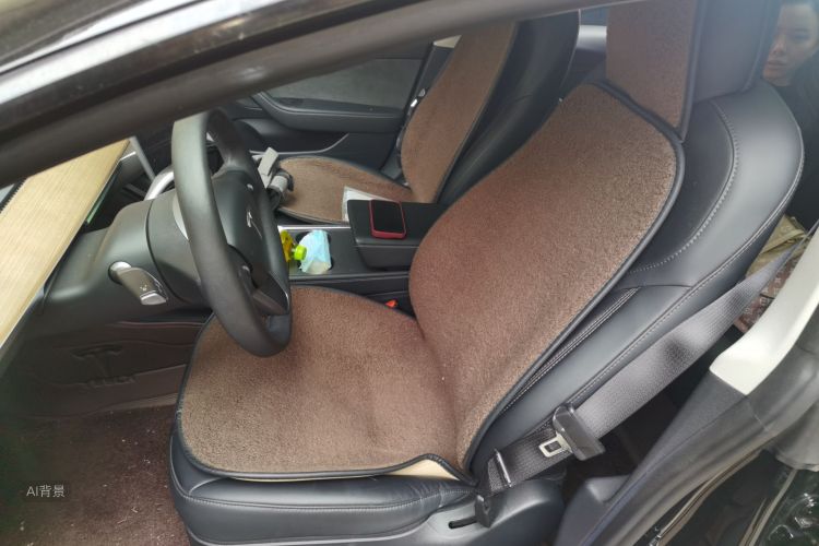 Tesla Model 3 2022 car image #17