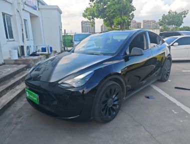 Tesla Model Y 2022 Tesla Model Y 2022 car image