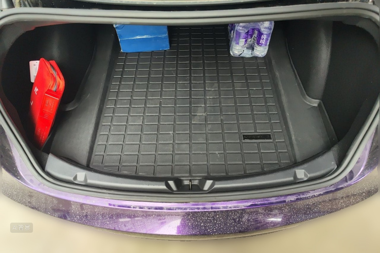 Tesla Model 3 2021 car image #21