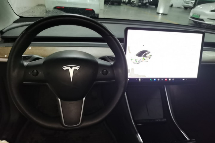 Tesla Model 3 2020 car image #10