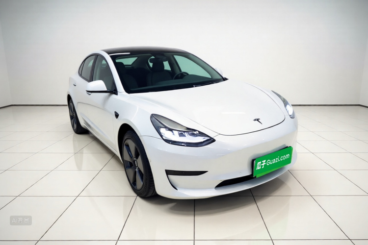 Tesla Model 3 2021 #4 Tesla Model 3 2021 car image #4