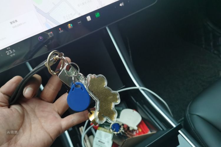 Tesla Model 3 2020 car image #10