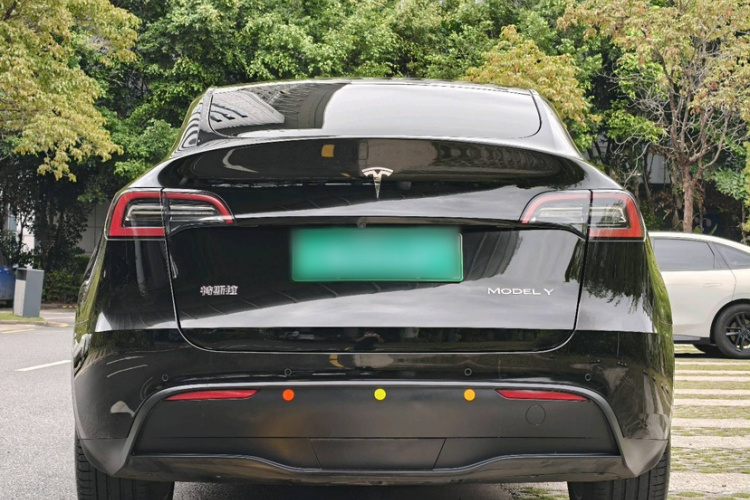 Tesla Model Y 2023 #8 Tesla Model Y 2023 car image #8