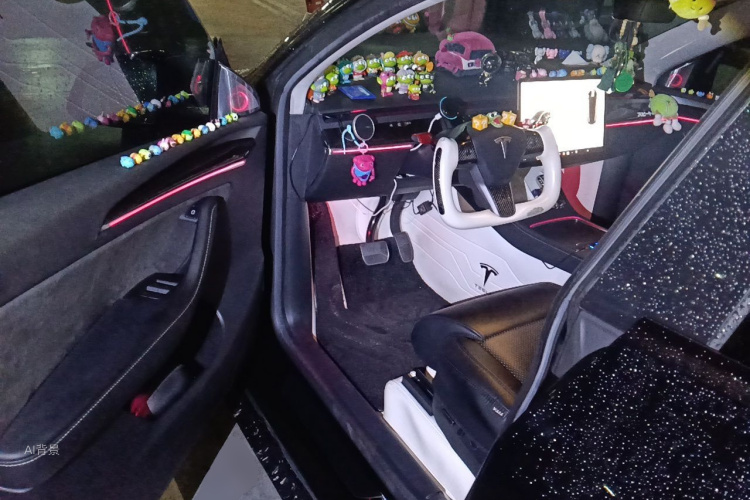 Tesla Model Y 2023 car image #18