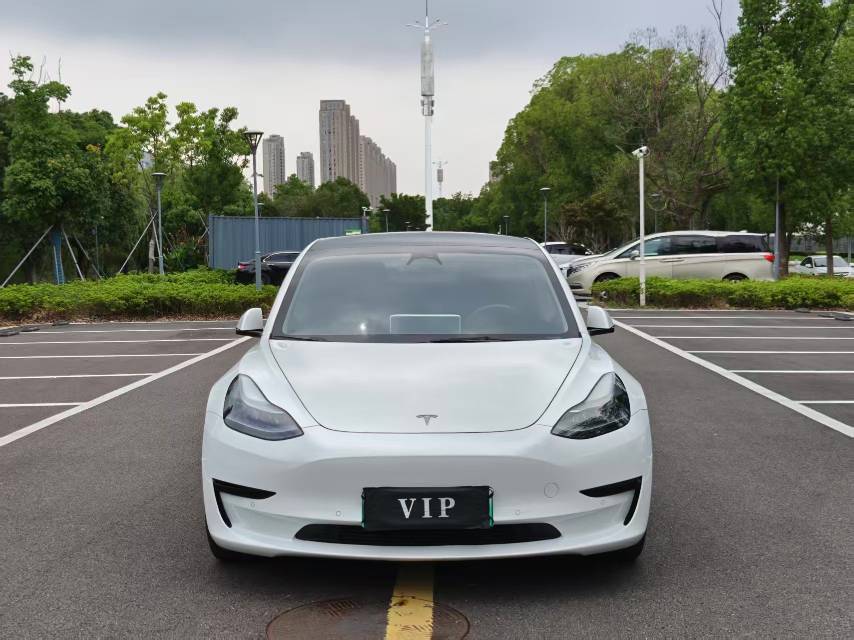 Tesla Model 3 2022 #2 Tesla Model 3 2022 car image #2