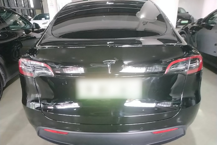Tesla Model Y 2023 immagine di auto #6