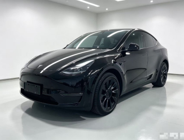 Tesla Model Y 2021 Tesla Model Y 2021 car image