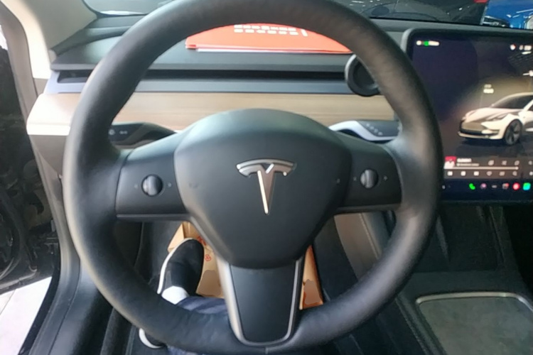 Tesla Model 3 2022 car image #15