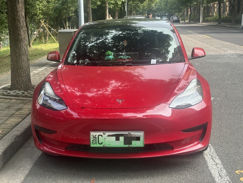Tesla Model 3 2020 #2 Tesla Model 3 2020 car image #2