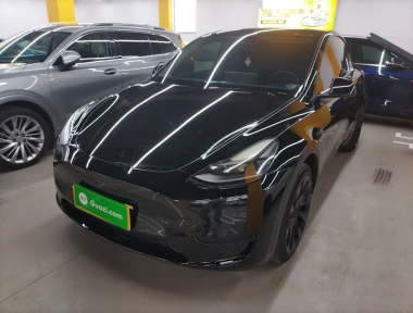 Tesla Model Y 2023 Tesla Model Y 2023 car image