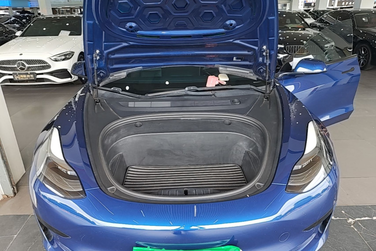 Tesla Model 3 2021 #22 Tesla Model 3 2021 car image #22