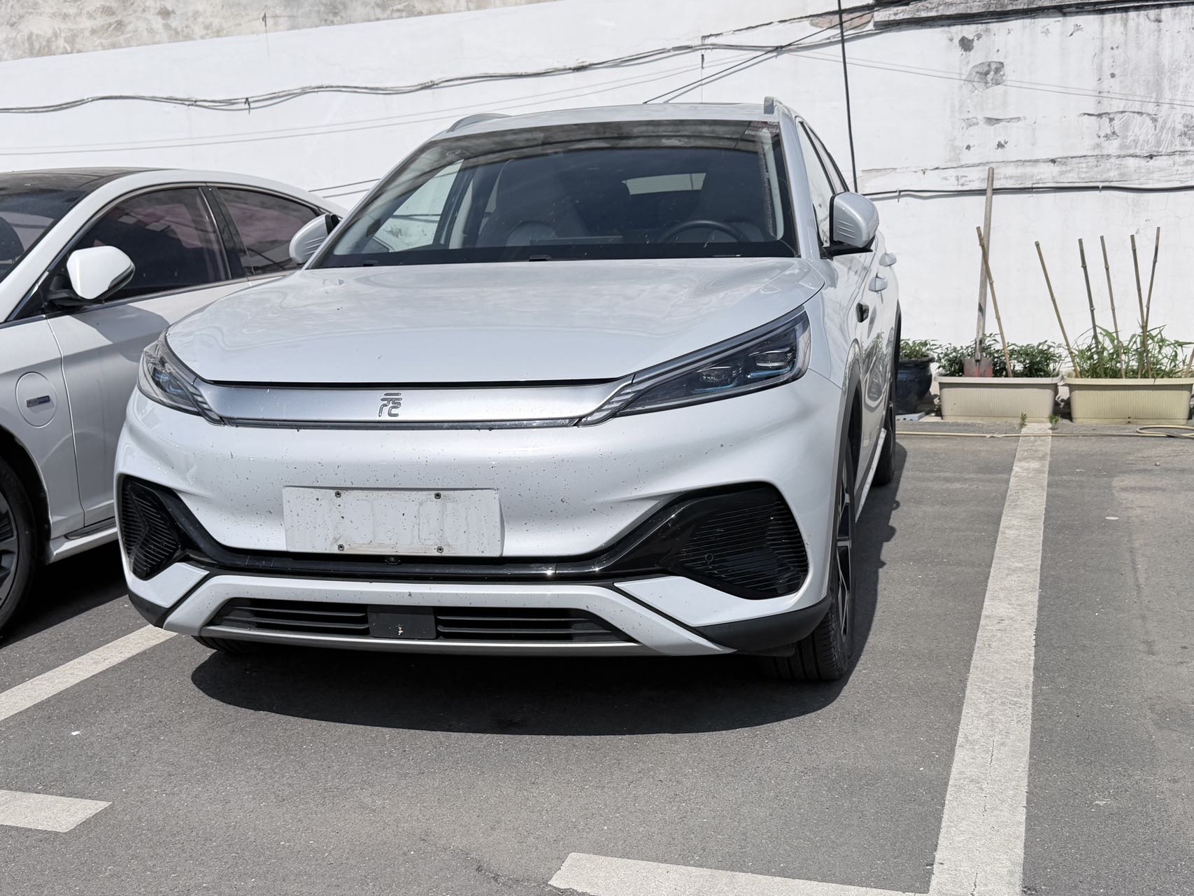 BYD Yuan Plus 2024 BYD Yuan Plus 2024 immagine di auto