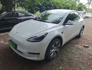 Tesla Model Y 2022 Tesla Model Y 2022 car image