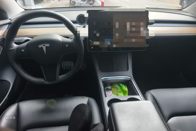 Tesla Model 3 2021 car image #11