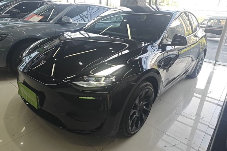 Tesla Model Y 2023 immagine di auto #2