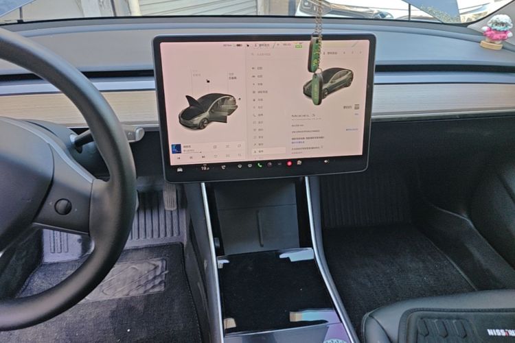 Tesla Model 3 2020 #13 Tesla Model 3 2020 car image #13