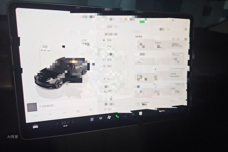 Tesla Model 3 2022 car image #15