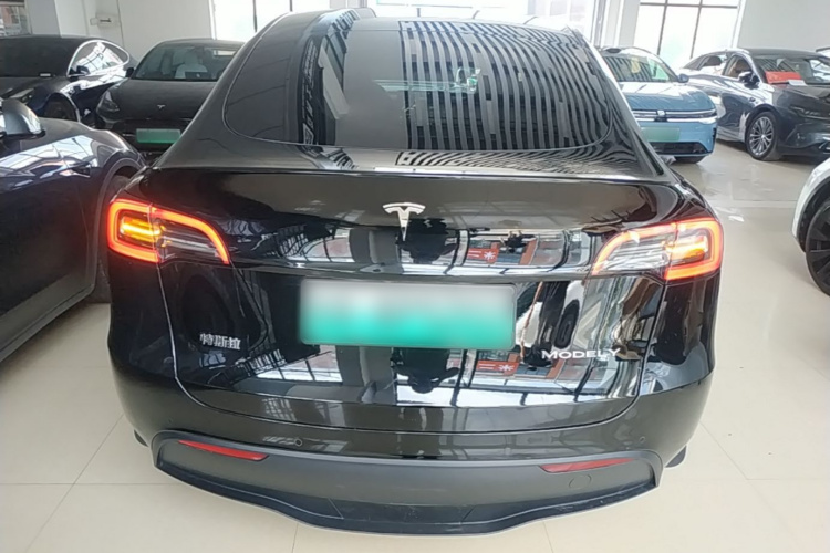 Tesla Model Y 2024 car image #6