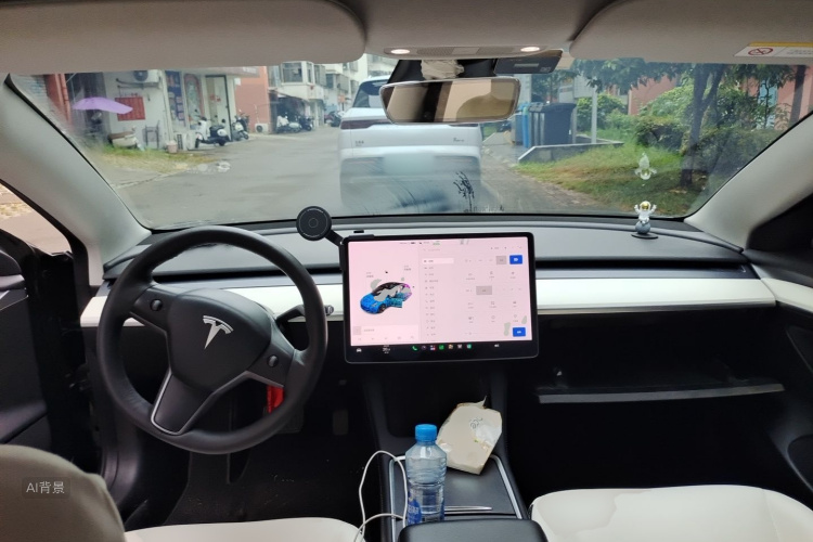 Tesla Model 3 2021 immagine di auto #11