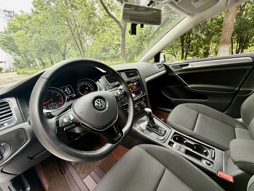 Volkswagen Golf 2019 imagen de coche #4
