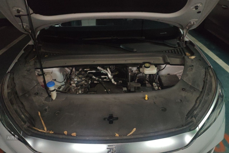 BYD Yuan Plus 2023 car image #22