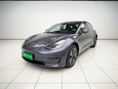 Tesla Model 3 2022 Tesla Model 3 2022 car image