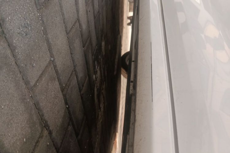 Toyota Corolla 2019 #19 Toyota Corolla 2019 car image #19