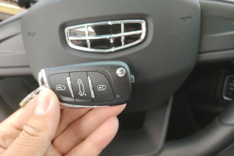 GEELY Emgrand New Energy 2024 car image #9