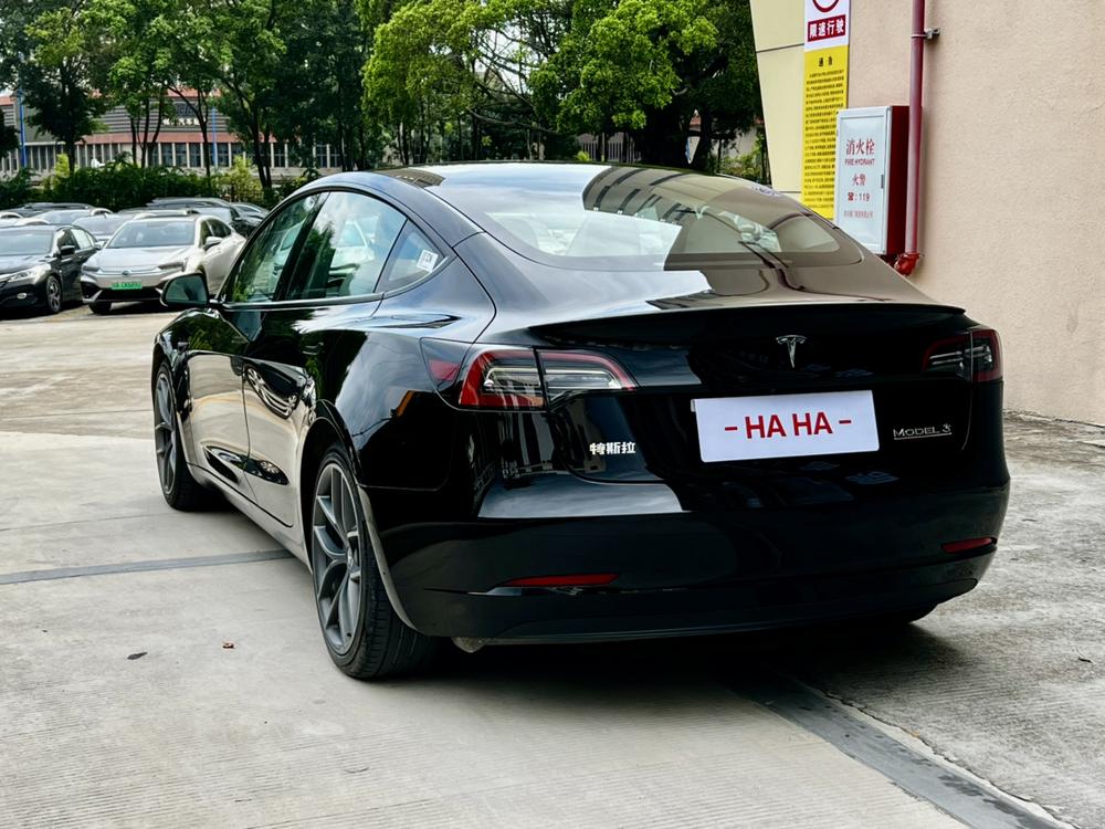 Tesla Model 3 2022 #3 Tesla Model 3 2022 car image #3