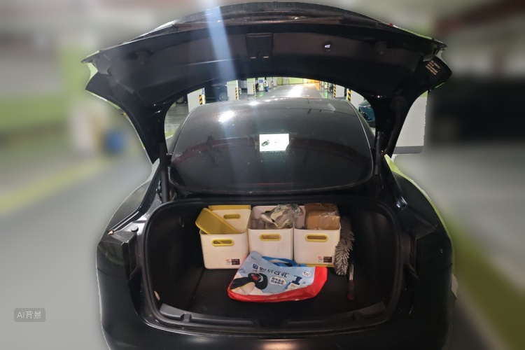 Tesla Model 3 2021 #21 Tesla Model 3 2021 car image #21