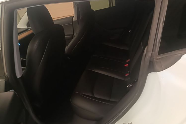 Tesla Model 3 2020 car image #17