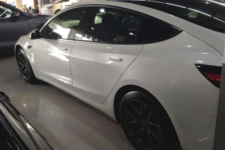 Tesla Model 3 2021 #5 Tesla Model 3 2021 car image #5