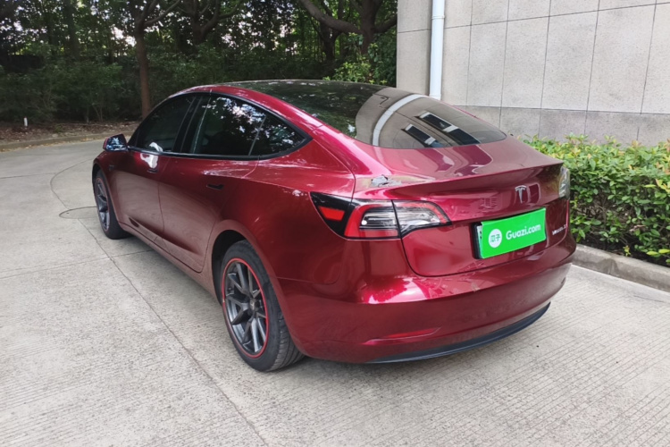 Tesla Model 3 2021 #5 Tesla Model 3 2021 car image #5