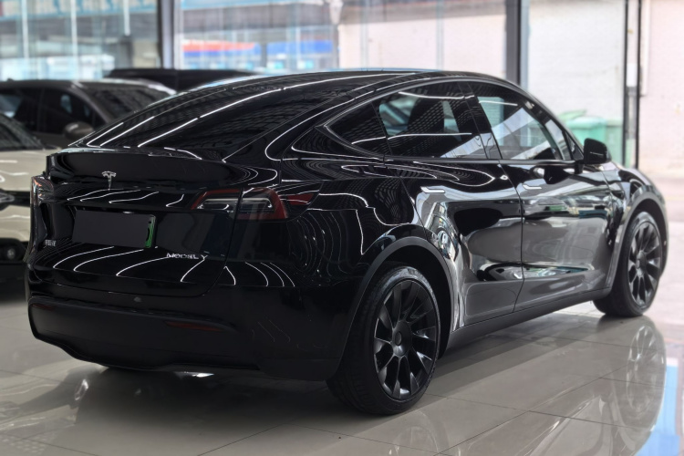 Tesla Model Y 2023 car image #6