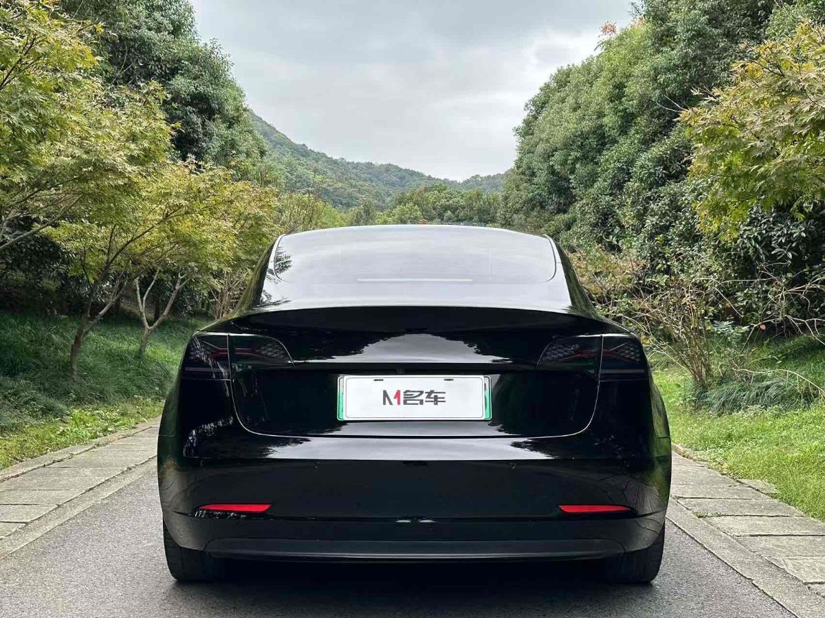 Tesla Model 3 2022 #5 Tesla Model 3 2022 car image #5