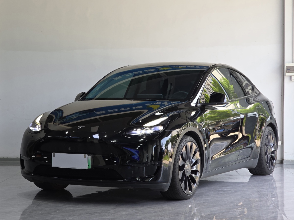 Tesla Model Y 2021 Tesla Model Y 2021 car image