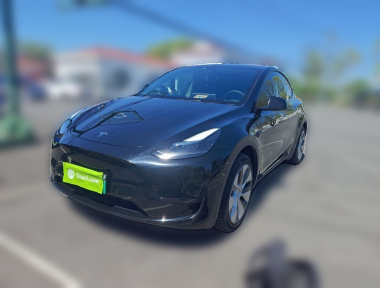 Tesla Model Y 2022 Tesla Model Y 2022 car image