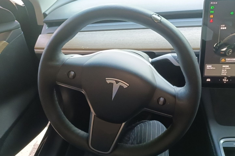 Tesla Model 3 2021 car image #15