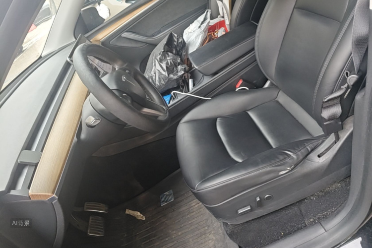 Tesla Model Y 2021 car image #17