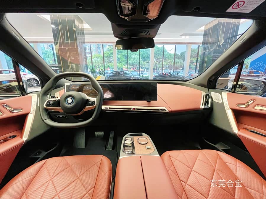 BMW iX M60 imagem de carro #4