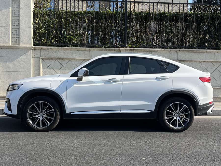 GEELY Tugella New Energy 2019 car image #4