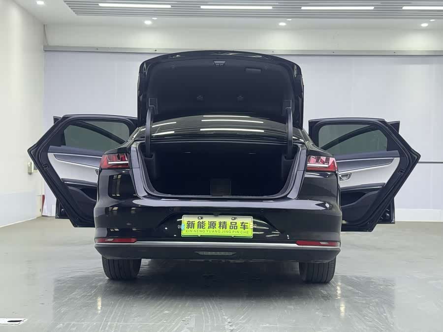 BYD e9 2021 car image #4