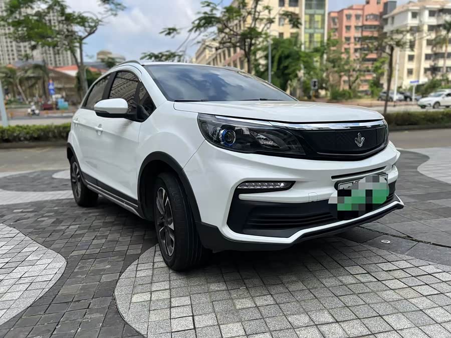 睿蓝汽车 枫叶30X 2020 汽车图片 #4