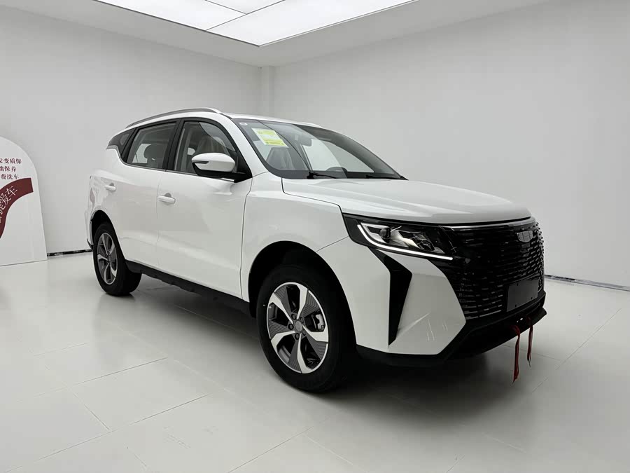 GEELY OkavangoPRO 2023 immagine di auto #4