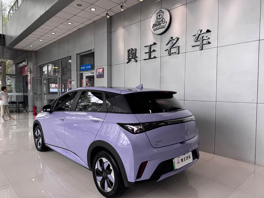 BYD Dolphin 2024 صورة سيارة #4