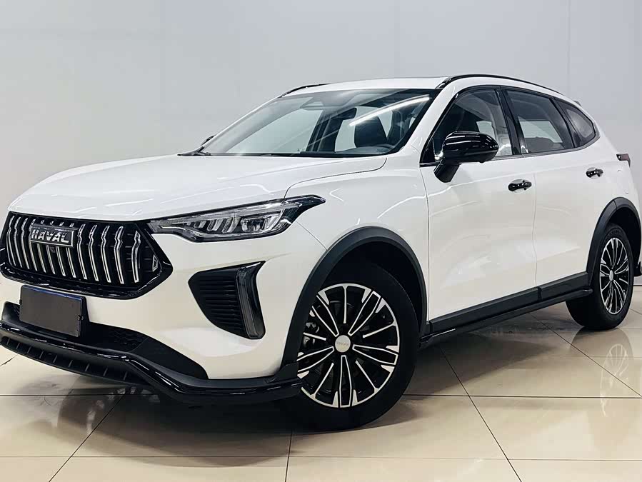 Haval Rabbit 2024 car image #4