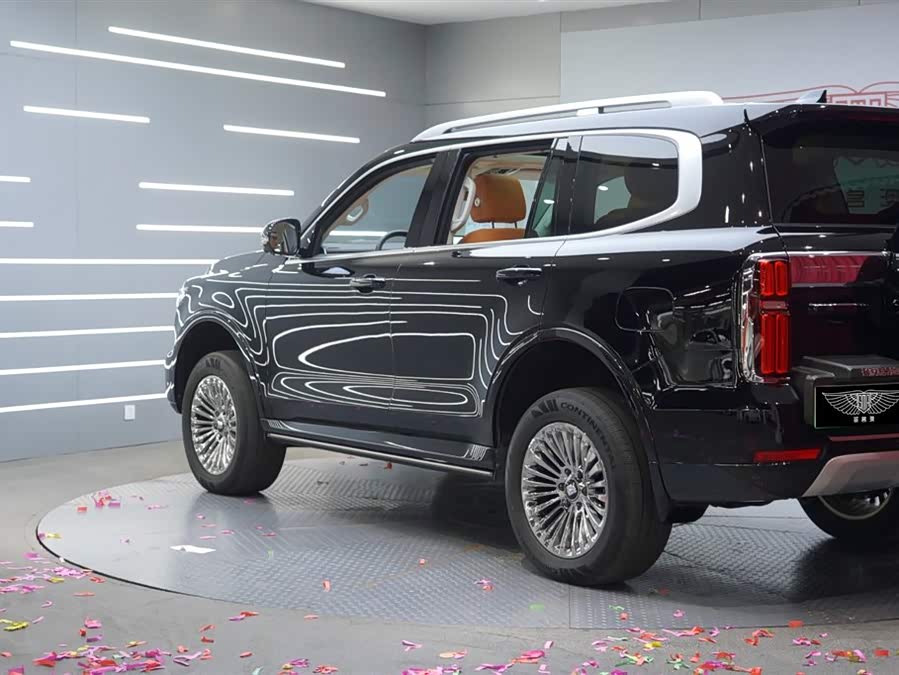 Tank 500 New Energy 2023 car image #4